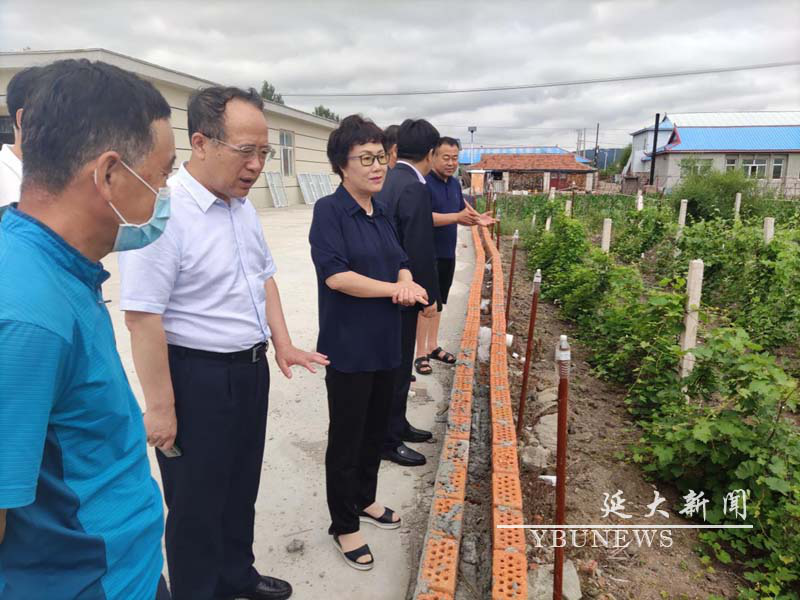 校党委书记千海兰一行赴开山屯镇光昭村走访慰问并调研指导扶贫工作